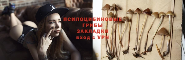 дмт Богородицк