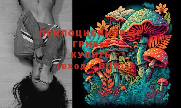 не бодяженный Бронницы